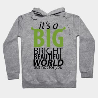 It's A Big Bright Beautiful World Hoodie